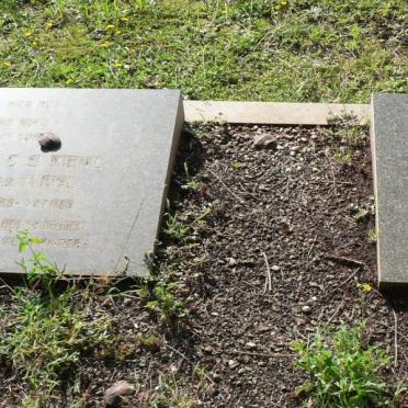 MERWE Hermina C.S., v.d. nee V.D. MERWE 18??-19?? :: BOTHA Phillip Rudolph 1917-19?2