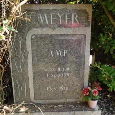 MEYER A.M.P. 1909-1971