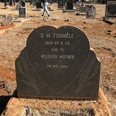 TSOMELE D.M. -1953