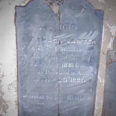 CARTER E.T. Shaen  -1881