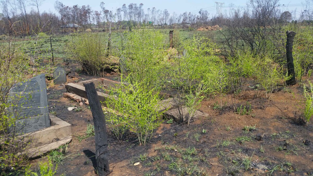 2. Overview / Oorsig