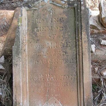 WALTON W.E. Alice -1902