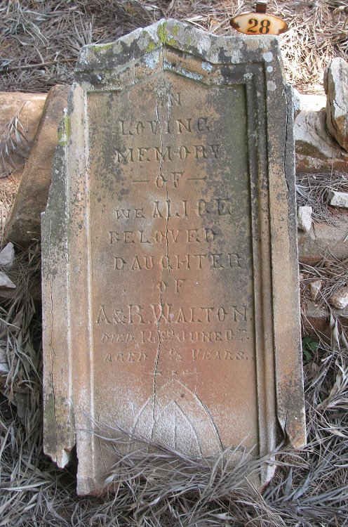 WALTON W.E. Alice -1902