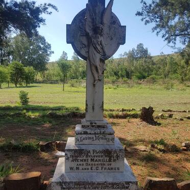 MARILLIER Frieda Florence nee FRAMES 1876-1911