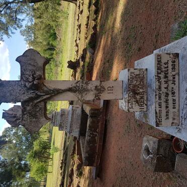 WELLS Irene Agnes nee PARKER -1906