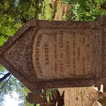 SCHOEMAN Koovie -1931