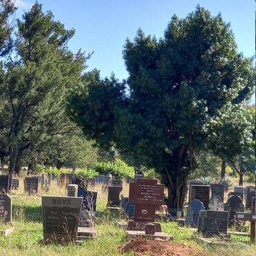 3. Overview / Oorsig