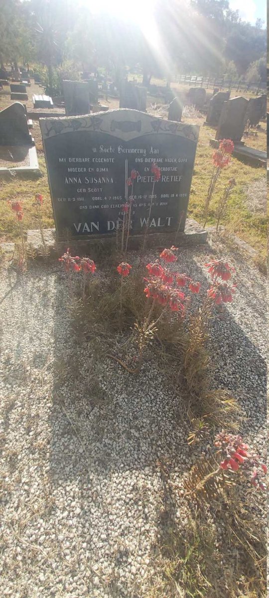 WALT Pieter Retief, van der 1905-1996 & Anna Susanna SCOTT 1911-1965
