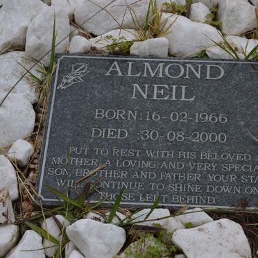 ALMOND Neil 1966-2000