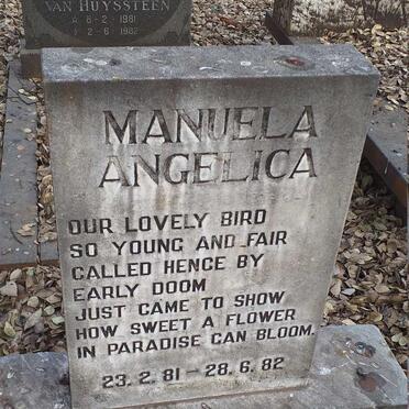 ANGELICA Manuela 1981-1982