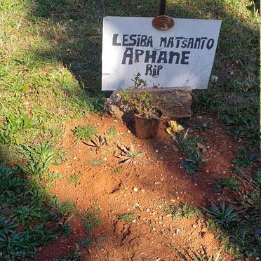 APHANE Lesiba Matsanto 