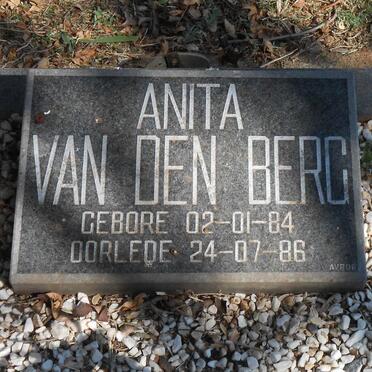 BERG Anita, van den 1984-1986