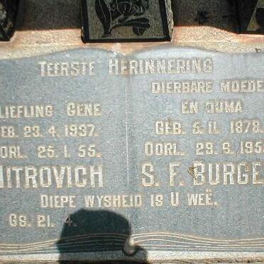 BURGER S.F. 1878-1955 :: MITROVICH Gene 1937-1955