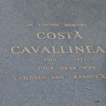 CAVALLINEAS Costa 1915-1977