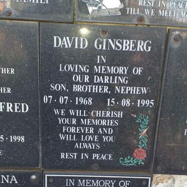 GINSBERG David 1968-1995