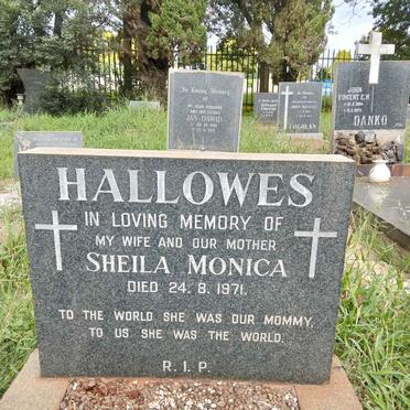 HALLOWES Sheila Monica -1971