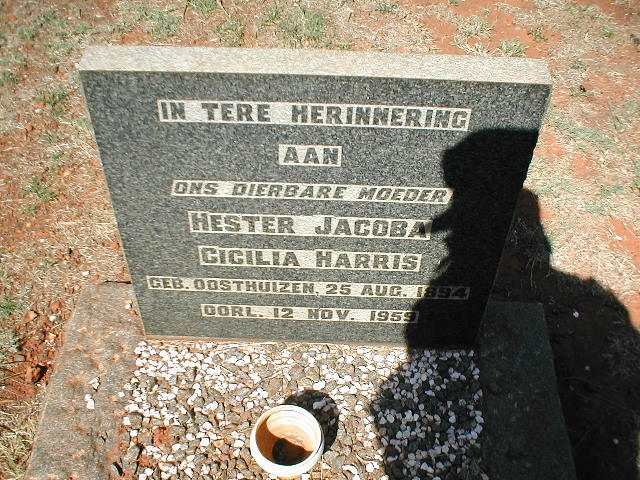 HARRIS Hester Jacoba Cicilia nee OOSTHUIZEN 1894-1959