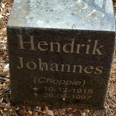 LUBBE Hendrik Johannes 1915-1997 _2