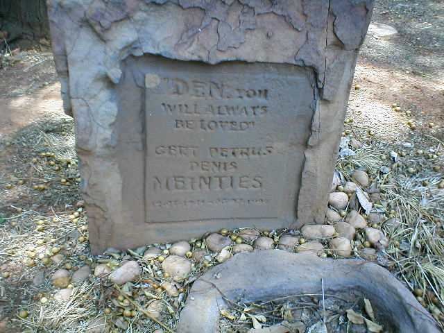 MEINTJES Gert Petrus Denis
