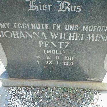 PENTZ Johanna Wilhelmine nee MOLL 1911-1971