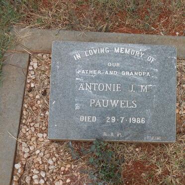 PAUWELS Antonie J.M. -1986