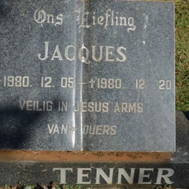 TENNER Jacques 1980-1980