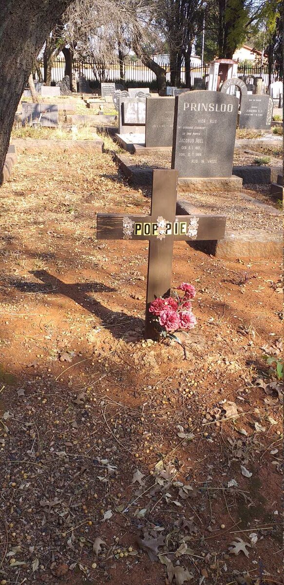 WYK Maria Helena, van