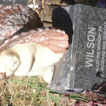 WILSON George 1951-2003