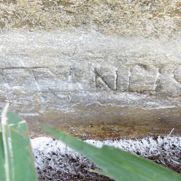 STEYN Judith Francis Tladi 1954-1956