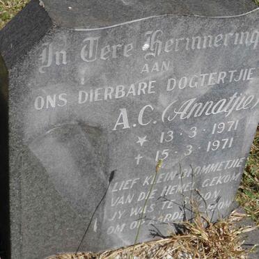 SCHUTTE A.C. 1971-1971