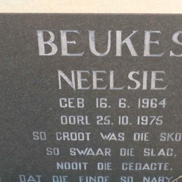 BEUKES Neelsie 1964-1975