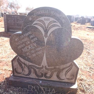 BOTHA Surnames :: BOTHA vanne
