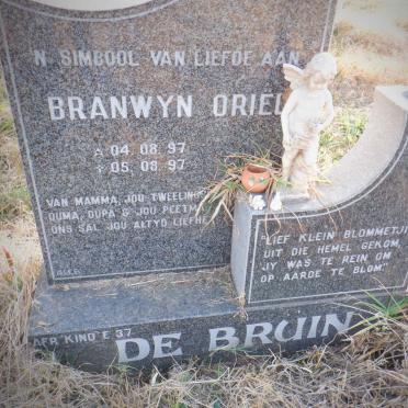 BRUIN Branwyn Oriel, de 1997-1997