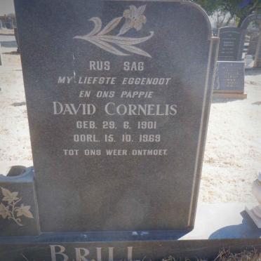 BRILL David Cornelis 1901-1969