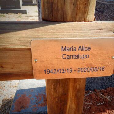 CANTALUPO Rinaldo 1939-1998 &amp; Maria Alice 1942-2020