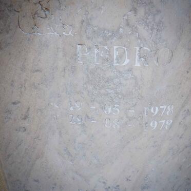 CAMARA Margaret, da 1969-1999 :: DA CAMARA Pedro 1978-1978