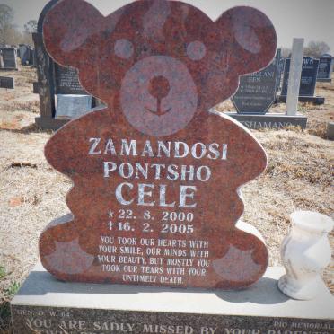 CELE Zamandosi Pontsho 2000-2005