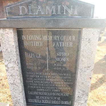 DLAMINI Sipho Moses 1956-1999 &amp; Mapule 1960-2013