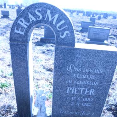 ERASMUS Pieter 1982-1982