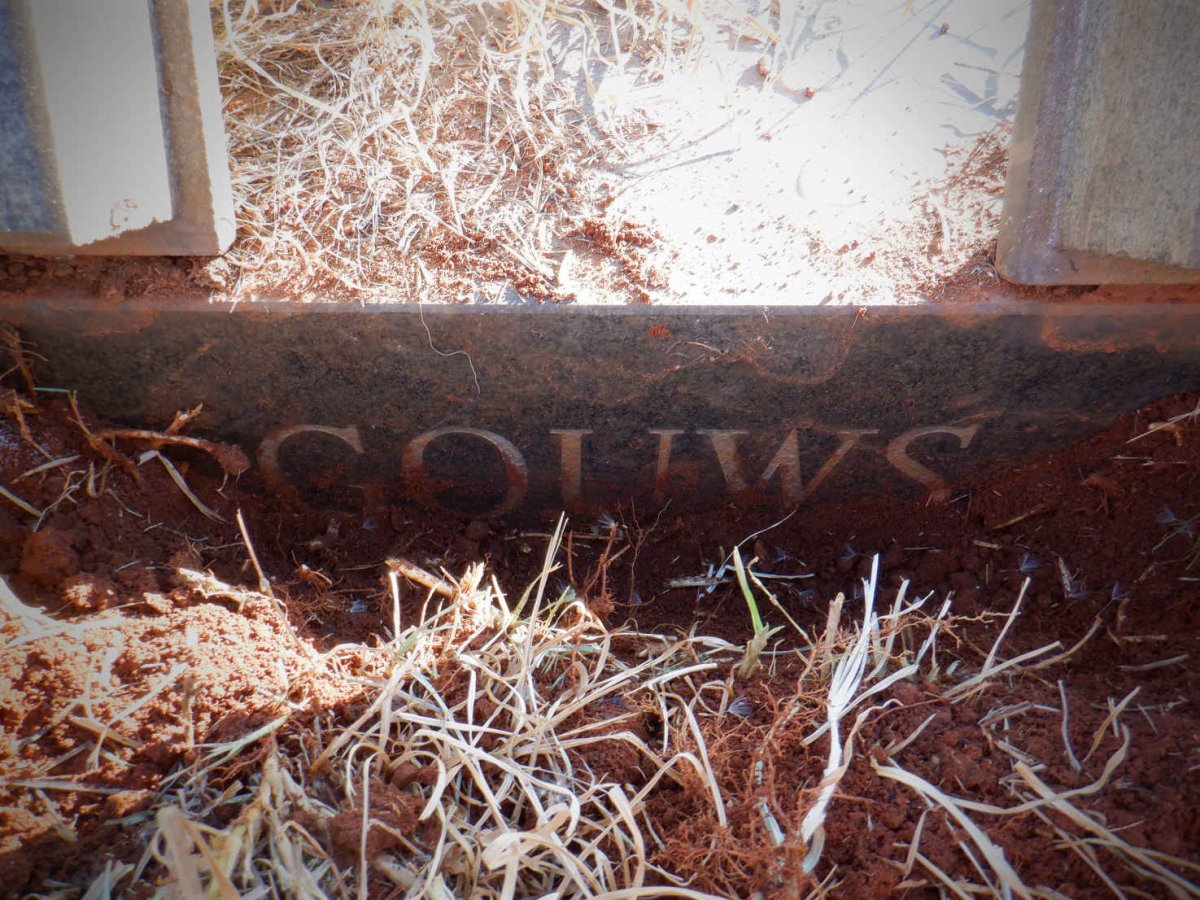 GOUWS
