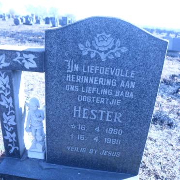 GROBLER Hester 1980-1980