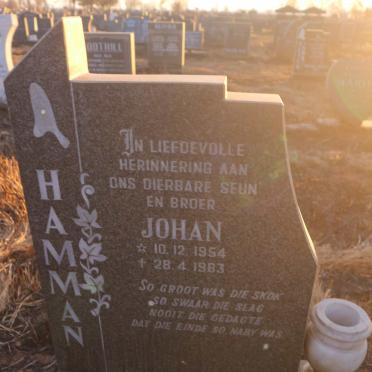 HAMMAN Johan 1954-1983