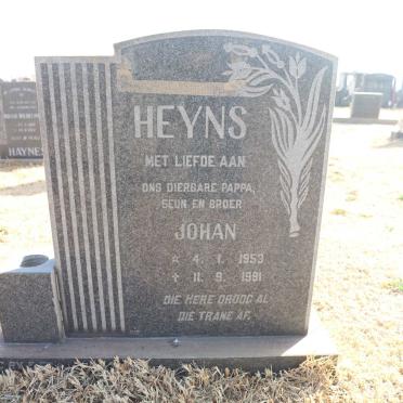 HEYNS Johan 1953-1991