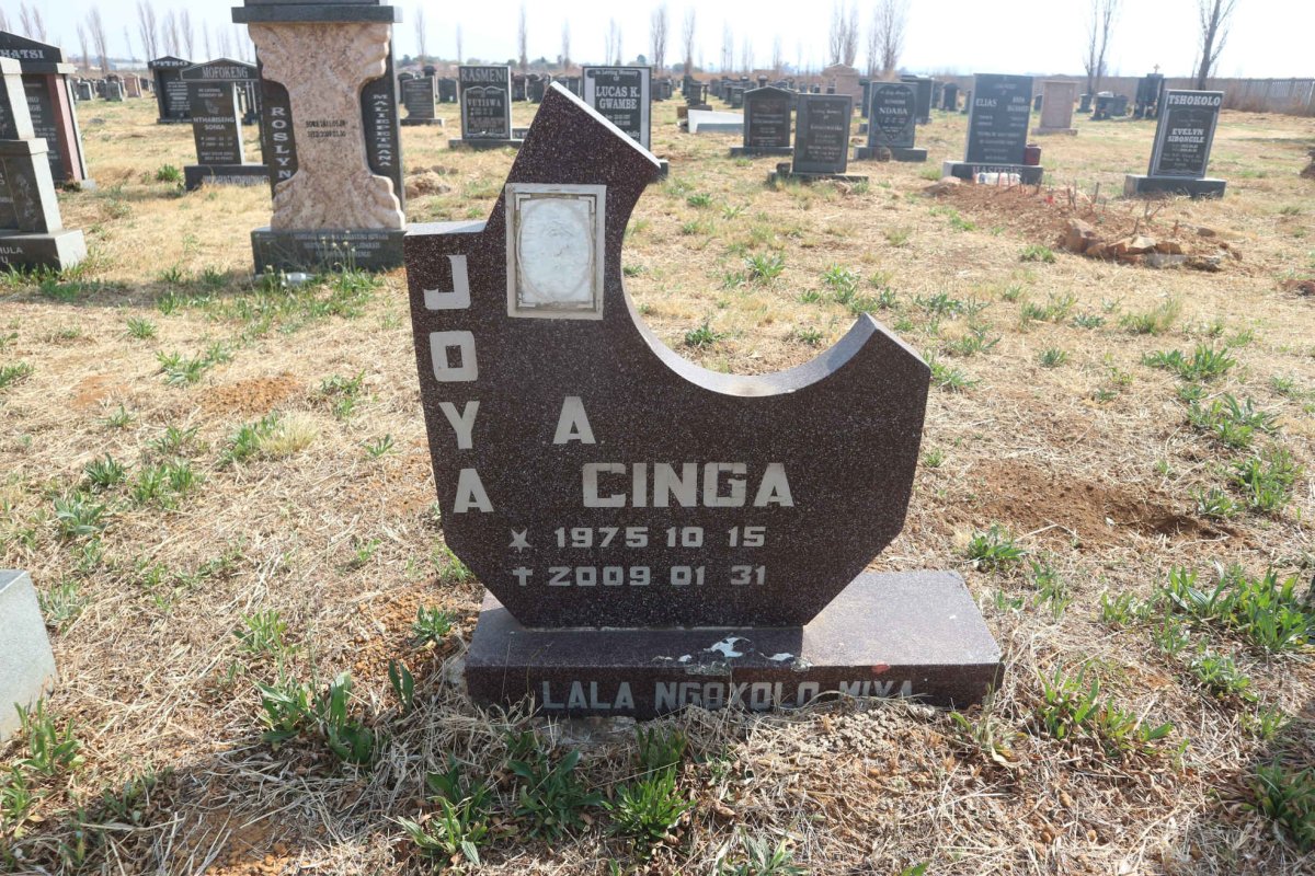 JOYA Acinga 1975-2009