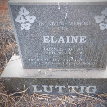 LUTTIG Elaine 1976-2001