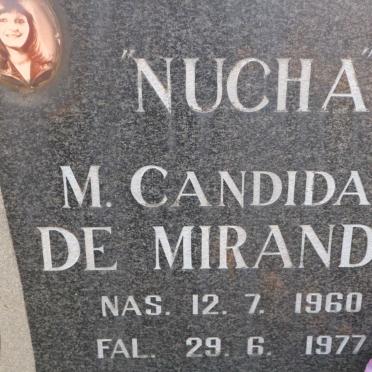 MIRANDA M. Candida, de 1960-1977