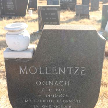 MOLLENTZE Oonach 1931-1973