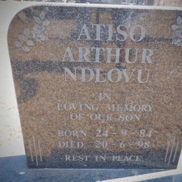 NDLOVU Atiso Arthur 1984-1998