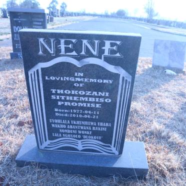 NENE Thokozani Sithembiso Promise 1977-2010