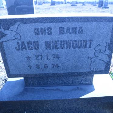 NIEUWOUDT Jaco 1974-1974